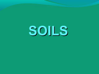 SOILSSOILS
 