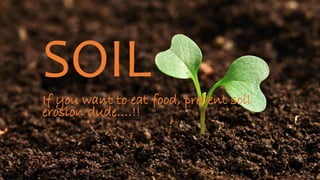 SOILIf you want to eat food, prevent soil
erosion dude….!!
 