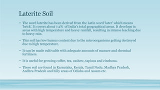 Laterite Soil
• The word laterite has been derived from the Latin word ‘later’ which means
‘brick’. It covers about 7.2% of India’s total geographical areas. It develops in
areas with high temperature and heavy rainfall, resulting in intense leaching due
to heavy rain.
• This soil has low humus content due to the microorganisms getting destroyed
due to high temperature.
• It can be made cultivable with adequate amounts of manure and chemical
fertilizers.
• It is useful for growing coffee, tea, cashew, tapioca and cinchona.
• These soil are found in Karnataka, Kerala, Tamil Nadu, Madhya Pradesh,
Andhra Pradesh and hilly areas of Odisha and Assam etc.
 