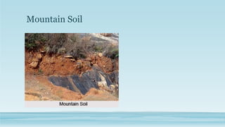 Mountain Soil
 