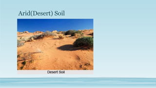 Arid(Desert) Soil
 