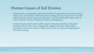 Human Causes of Soil Erosion
• Deforestation, overgrazing, and faulty methods of agriculture are human actions
which cause soil erosion. Indiscrimination cutting of trees to increase area under
cultivation has caused large-scale damage to soil in the Shiwalik range, parts of
Uttar Pradesh, Haryana, Madhya Pradesh, and Rajasthan.
• Overgrazing has taken place in hilly regions of Jammu Kashmir, Himachal
Pradesh and the drier areas of Rajasthan, Madhya Pradesh, Maharashtra,
Karnataka. Soil Conservation in hilly areas is done by contour ploughing and
Terrance farming.
 