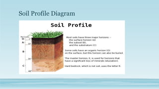 Soil Profile Diagram
 