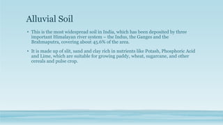 Alluvial Soil
• This is the most widespread soil in India, which has been deposited by three
important Himalayan river system – the Indus, the Ganges and the
Brahmaputra, covering about 45.6% of the area.
• It is made up of slit, sand and clay rich in nutrients like Potash, Phosphoric Acid
and Lime, which are suitable for growing paddy, wheat, sugarcane, and other
cereals and pulse crop.
 