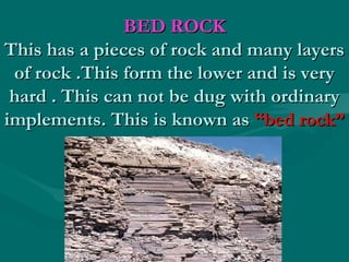 09. Soils by Dilip Kumar Chandra | PPT | Gardening | Home & Garden