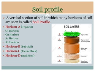 Normal Soil Profile Soil and its type ppt | PPTX