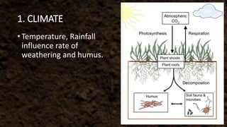 Climate Formation Soil | PPTX