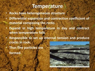 Temperature
• Rocks have heterogeneous structure
• Differential expansion and contraction coefficient of
material composing the rocks.
• Expand in high temperature in day and contract
when temperature falls
• Responsible to set up internal tension and produce
cracks in rock.
• Thus fine particles are
formed.
 