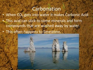 Carbonation
• When CO2 gets into water it makes Carbonic Acid
• This acid can stick to some minerals and form
compounds that are washed away by water.
• This often happens to limestone.
 