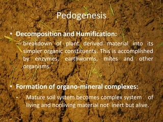 Pedogenesis
• Decomposition and Humification:
– breakdown of plant derived material into its
simpler organic constituents. This is accomplished
by enzymes, earthworms, mites and other
organisms.
• Formation of organo-mineral complexes:
- Mature soil system becomes complex system of
living and nonliving material not inert but alive.
 