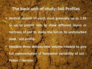 The basic unit of study: Soil Profiles
 Vertical section of earth crust generally up to 1.83
or up to parent rock to show different layers or
horizons of soil to study the soil in its undisturbed
state : soil profile.
• Smallest three dimensional volume needed to give
full representation of horizontal variability of soil :
Pedon / Horizon
 