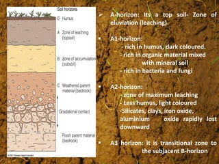  A-horizon: Its a top soil- Zone of
eluviation (leaching)
 A1-horizon:
- rich in humus, dark coloured.
- rich in organic material mixed
with mineral soil
- rich in bacteria and fungi
 A2-horizon:
- zone of maximum leaching
- Less humus, light coloured
-Silicates, clays, iron oxide,
aluminium oxide rapidly lost
downward
 A3 horizon: it is transitional zone to
the subjacent B-horizon
 