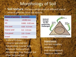 Morphology of Soil
• Soil texture :Various combination of different size of
mineral particles form soil texture.
Names of particles Size (mm)
Clay <0.002 mm
Silt 0.002 - 0.02 mm
Fine sand 0.02 - 0.2 mm
Coarse sand 0.2 - 2.0 mm
Fine gravel 2.0 – 5 mm
Gravel > 5 mm
Textural Groups :
• Coarse textured soil
•Moderately Course Soils
•Medium Textured Soil
•Moderately Fine Textural Soil
•Fine Textured Soil
Importance:
nutrient supplies,
aeration,
root development,
moisture content.
 