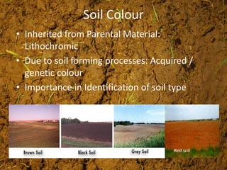 Soil Colour
• Inherited from Parental Material:
Lithochromic
• Due to soil forming processes: Acquired /
genetic colour
• Importance in Identification of soil type
Red soil
 