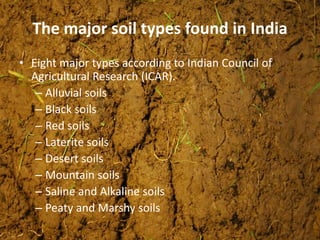 The major soil types found in India
• Eight major types according to Indian Council of
Agricultural Research (ICAR).
– Alluvial soils
– Black soils
– Red soils
– Laterite soils
– Desert soils
– Mountain soils
– Saline and Alkaline soils
– Peaty and Marshy soils
 