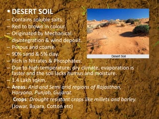  DESERT SOIL
– Contains soluble salts.
– Red to brown in colour.
– Originated by Mechanical
disintegration & wind deposit.
– Porous and coarse.
– 90% sand & 5% clay.
– Rich in Nitrates & Phosphates.
– Due to high temperature, dry climate, evaporation is
faster and the soil lacks humus and moisture.
– 1.4 Lakh sqkm.
– Areas: Arid and Semi arid regions of Rajasthan,
Haryana, Punjab, Gujarat.
– Crops: Drought resistant crops like millets and barley.
(Jowar, Bajara, Cotton etc)
 
