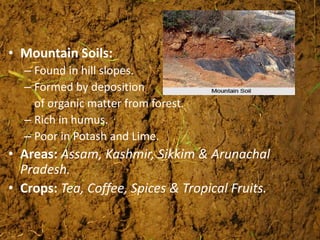 • Mountain Soils:
– Found in hill slopes.
– Formed by deposition
of organic matter from forest.
– Rich in humus.
– Poor in Potash and Lime.
• Areas: Assam, Kashmir, Sikkim & Arunachal
Pradesh.
• Crops: Tea, Coffee, Spices & Tropical Fruits.
 