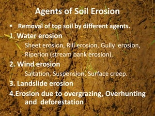 Agents of Soil Erosion
 Removal of top soil by different agents.
1. Water erosion
Sheet erosion, Rill erosion, Gully erosion,
Riperion (stream bank erosion).
2. Wind erosion
Saltation, Suspension, Surface creep.
3. Landslide erosion
4.Erosion due to overgrazing, Overhunting
and deforestation
 