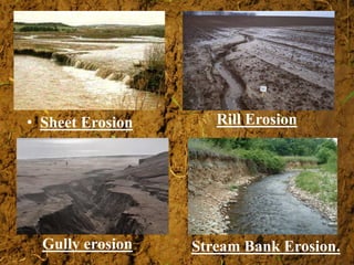 • Sheet Erosion Rill Erosion
Gully erosion Stream Bank Erosion.
 