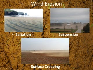 Wind Erosion
• Saltation Suspension
Surface Creeping
 