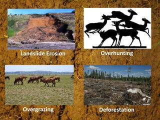 Landslide Erosion
Overgrazing
Overhunting
Deforestation
 