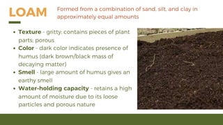 Soil | PDF