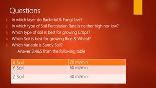 Soil visual data 8