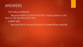 Soil | Class 7 | PPTX