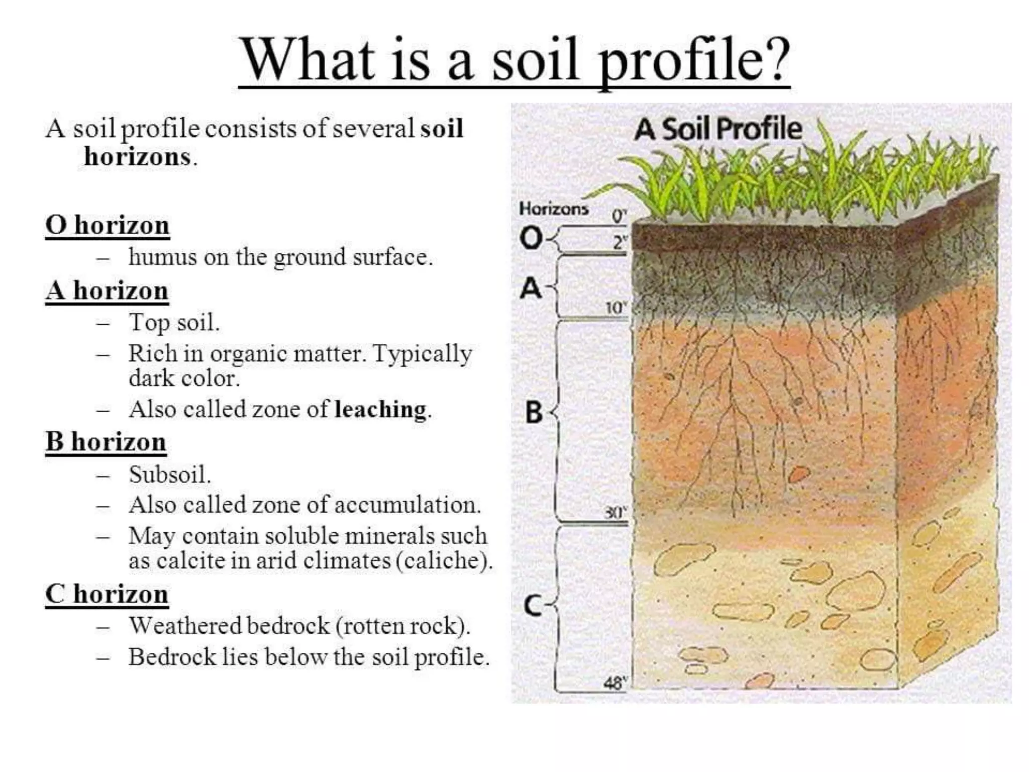 • Soil profile image
 