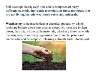 Soil develops slowly over time and is composed of many
different materials. Inorganic materials, or those materials that
are not living, include weathered rocks and minerals.
Weathering is the mechanical or chemical process by which
rocks are broken down into smaller pieces. As rocks are broken
down, they mix with organic materials, which are those materials
that originate from living organisms. For example, plants and
animals die and decompose, releasing nutrients back into the soil.
 