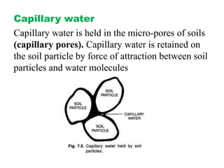 Capillary water
Capillary water is held in the micro-pores of soils
(capillary pores). Capillary water is retained on
the soil particle by force of attraction between soil
particles and water molecules
 