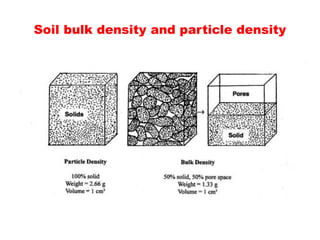 Soil bulk density and particle density
 
