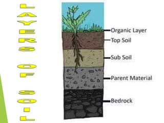 SOIL.ppt