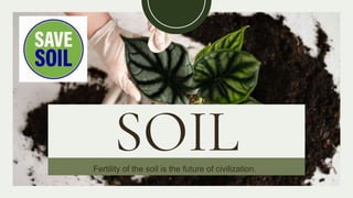 SOIL
Fertility of the soil is the future of civilization.
 