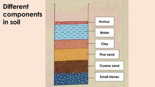 SOIL - Components, Types of Soil and Its Characteristics.pptx
