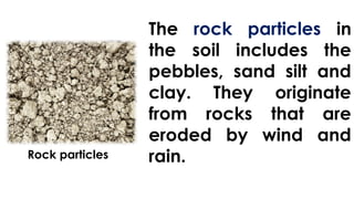 SOIL - Components, Types of Soil and Its Characteristics.pptx