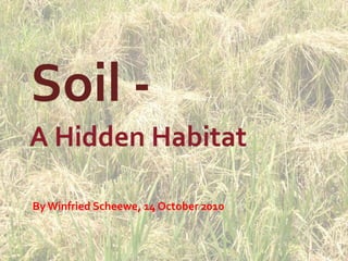Soil - A Hidden Habitat By Winfried Scheewe, 14 October 2010 
