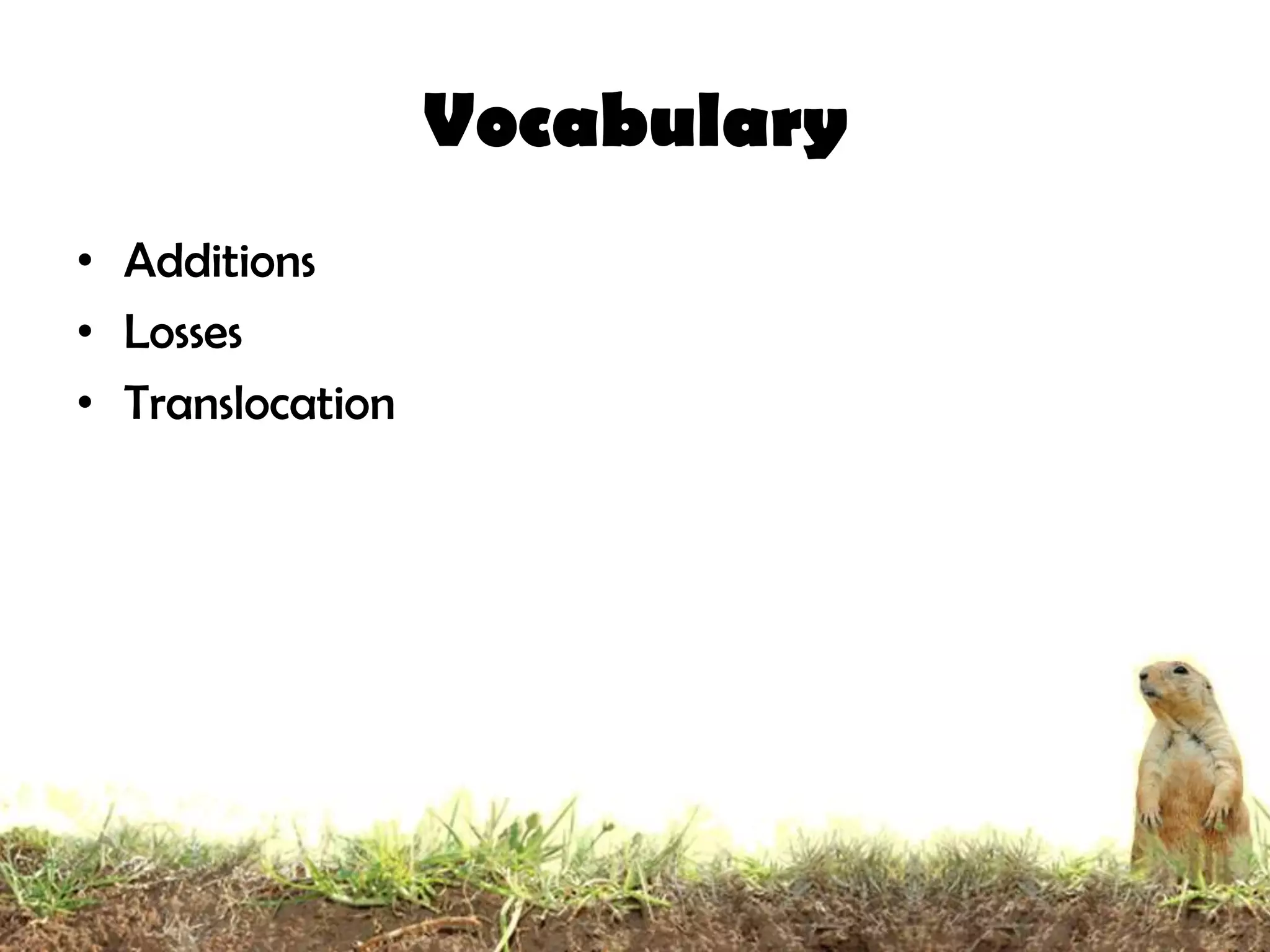 Vocabulary
• Additions
• Losses
• Translocation
 
