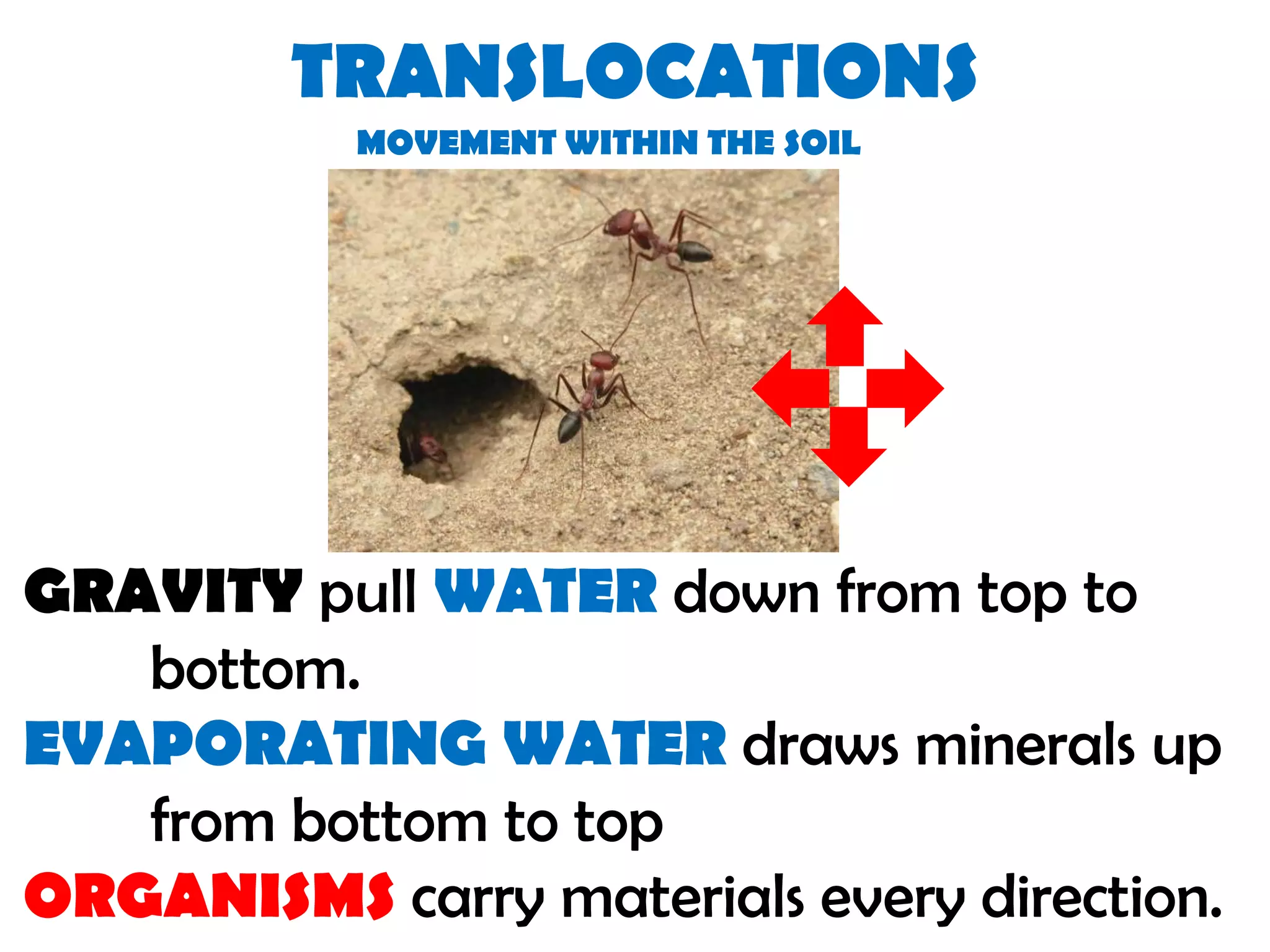 TRANSLOCATIONS
MOVEMENT WITHIN THE SOIL
GRAVITY pull WATER down from top to
bottom.
EVAPORATING WATER draws minerals up
from bottom to top
ORGANISMS carry materials every direction.
 