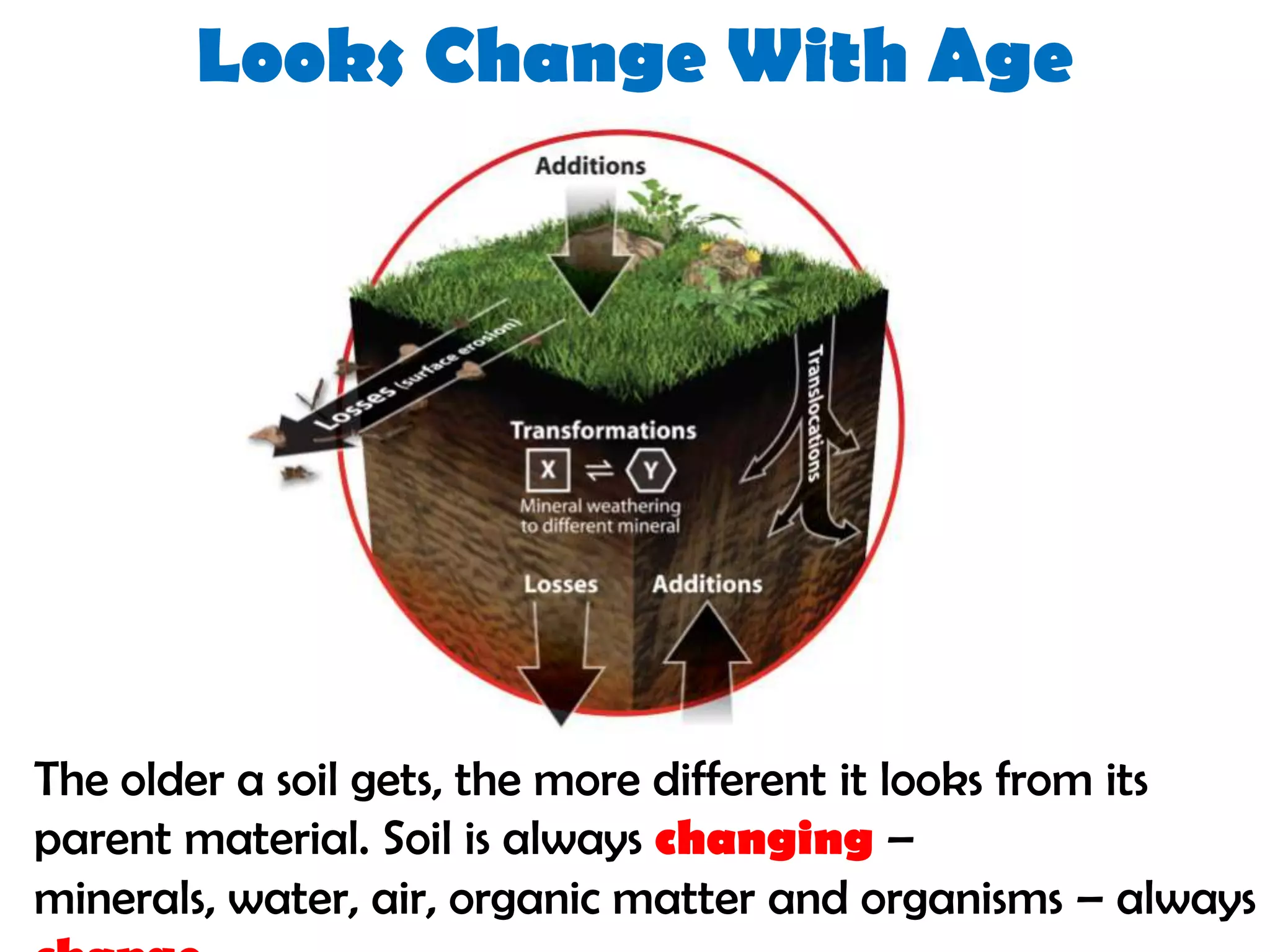 The older a soil gets, the more different it looks from its
parent material. Soil is always changing –
minerals, water, air, organic matter and organisms – always
Looks Change With Age
 