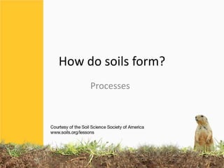 How do soils form?
Processes
 