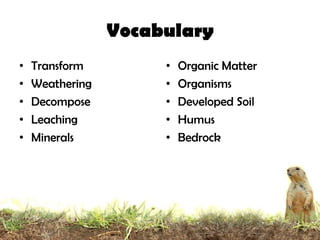 Vocabulary
• Transform
• Weathering
• Decompose
• Leaching
• Minerals
• Organic Matter
• Organisms
• Developed Soil
• Humus
• Bedrock
 