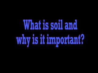 What is soil and  why is it important? 