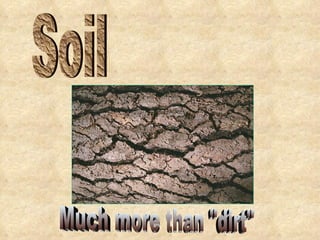 Soil Much more than &quot;dirt&quot; 