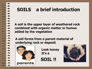 SOILS  a brief introduction A soil is the upper layer of weathered rock combined with organic matter or humus added by the vegetation A soil forms from a parent material of underlying rock or deposit Look honey It’s a  SOIL !! 
