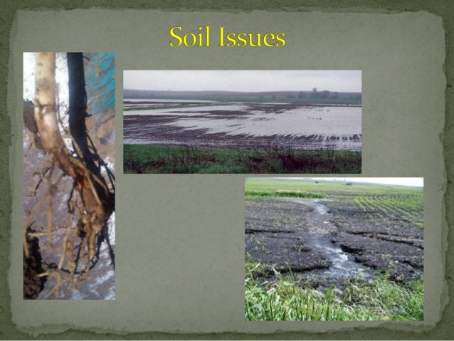 Soil regeneration for healthy farms and resiliency