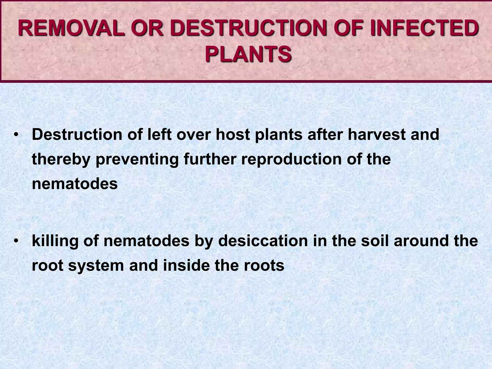• Destruction of left over host plants after harvest and
thereby preventing further reproduction of the
nematodes
• killing of nematodes by desiccation in the soil around the
root system and inside the roots
REMOVAL OR DESTRUCTION OF INFECTED
PLANTS
 