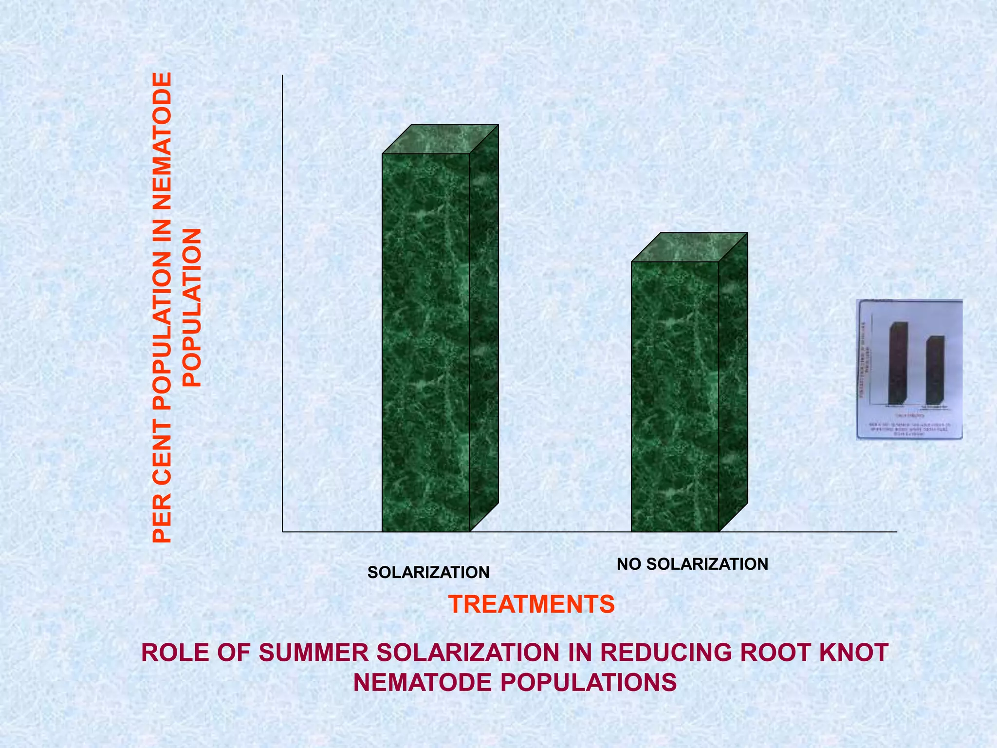 ROLE OF SUMMER SOLARIZATION IN REDUCING ROOT KNOT
NEMATODE POPULATIONS
TREATMENTS
PER
CENT
POPULATION
IN
NEMATODE
POPULATION
SOLARIZATION NO SOLARIZATION
 