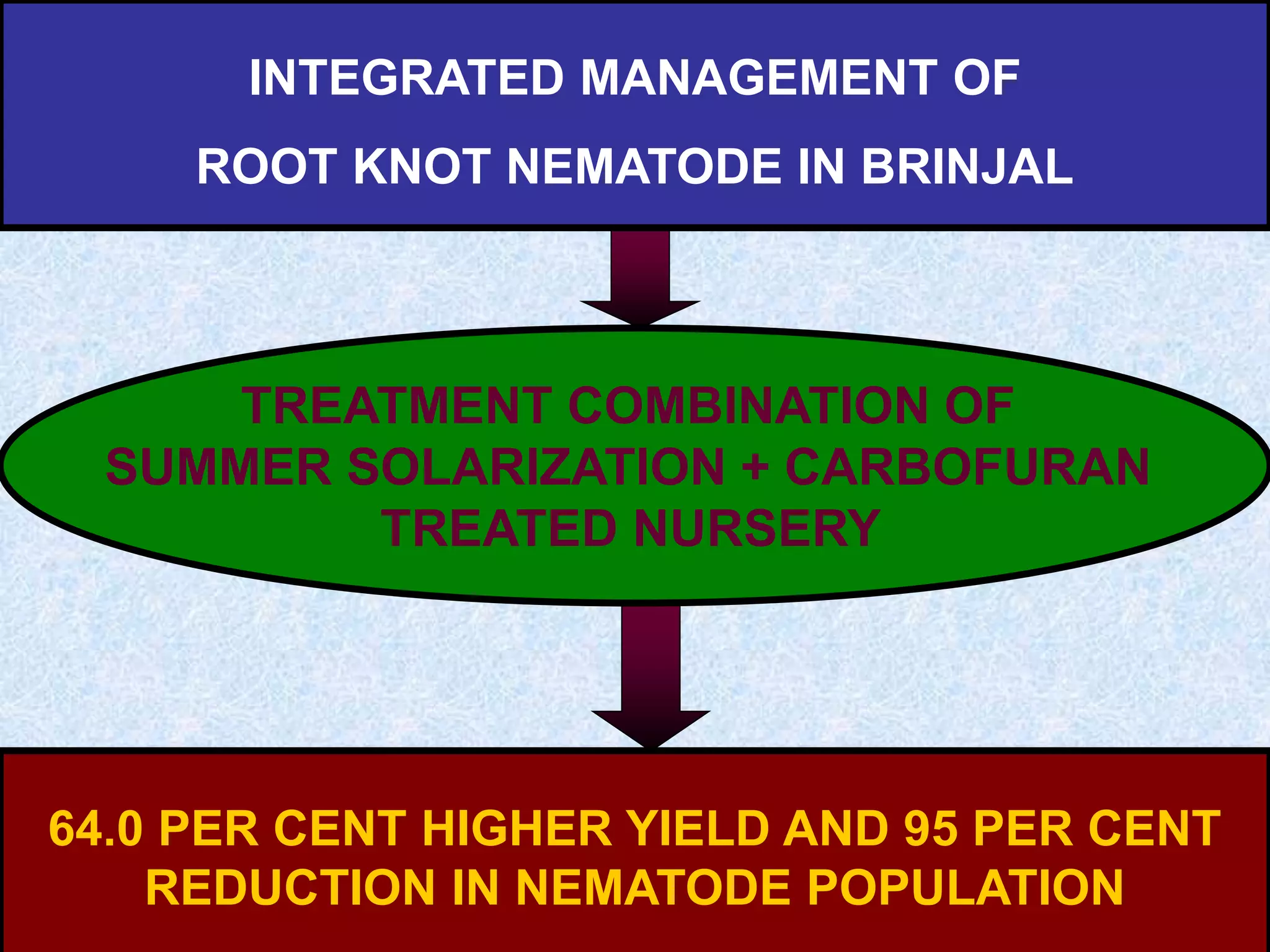 INTEGRATED MANAGEMENT OF
ROOT KNOT NEMATODE IN BRINJAL
TREATMENT COMBINATION OF
SUMMER SOLARIZATION + CARBOFURAN
TREATED NURSERY
64.0 PER CENT HIGHER YIELD AND 95 PER CENT
REDUCTION IN NEMATODE POPULATION
 