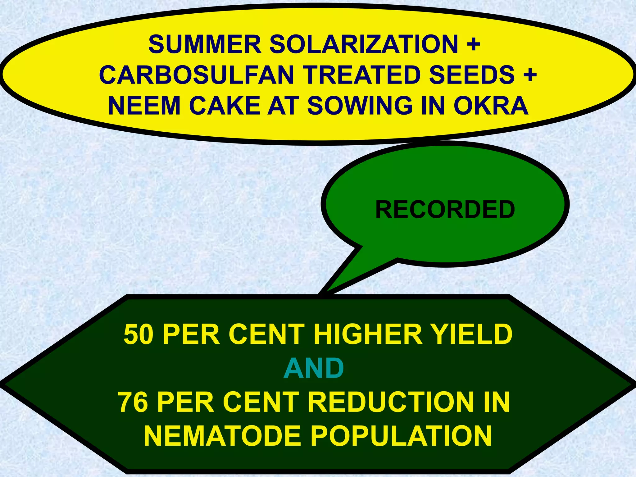 SUMMER SOLARIZATION +
CARBOSULFAN TREATED SEEDS +
NEEM CAKE AT SOWING IN OKRA
RECORDED
50 PER CENT HIGHER YIELD
AND
76 PER CENT REDUCTION IN
NEMATODE POPULATION
 